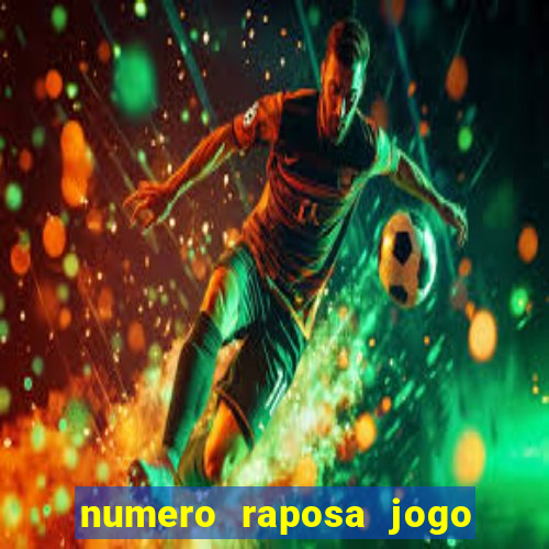 numero raposa jogo do bicho